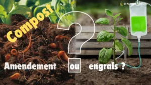 Comparaison compost naturel vs engrais chimique en jardinage - Choix fertilisation potager