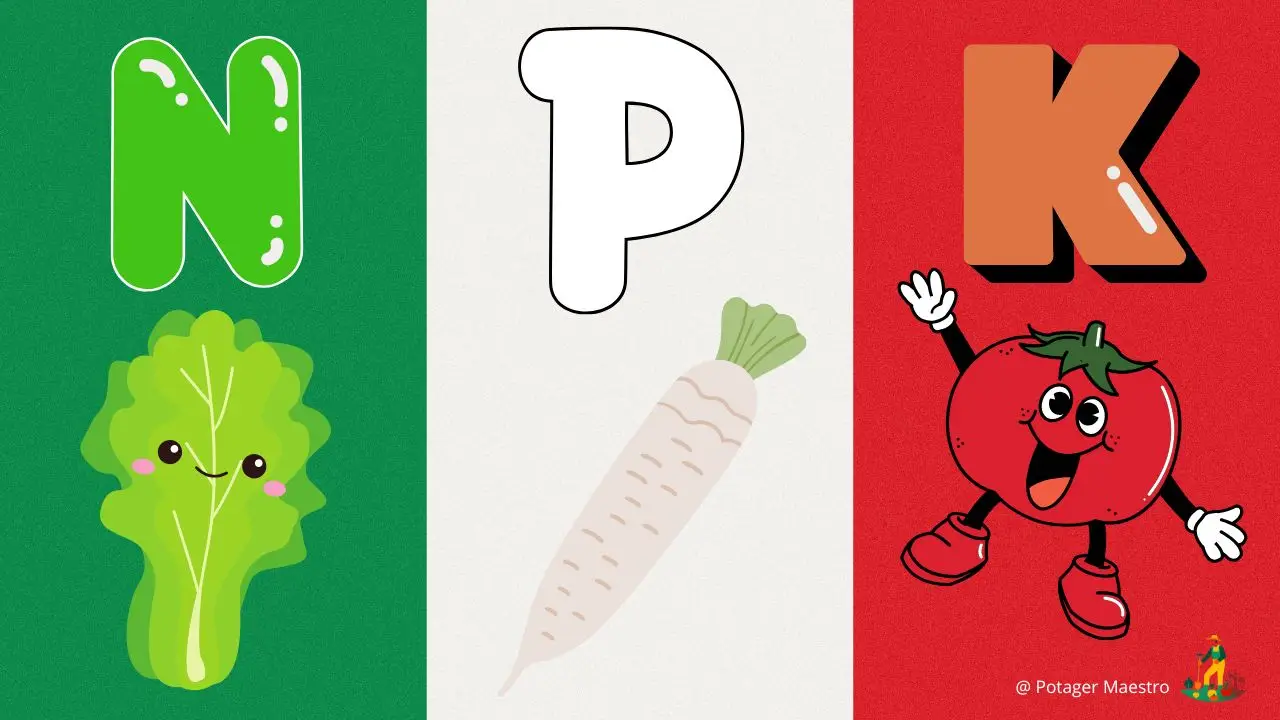 NPK engrais mnémotechnique drapeau italien légume racine fruit jardin fertilisation