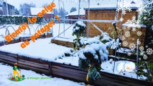 Potager sous la neige avec choux de Bruxelles, jardin surélevé en bois, arceaux de protection hivernale