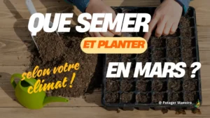 Calendrier semis mars potager