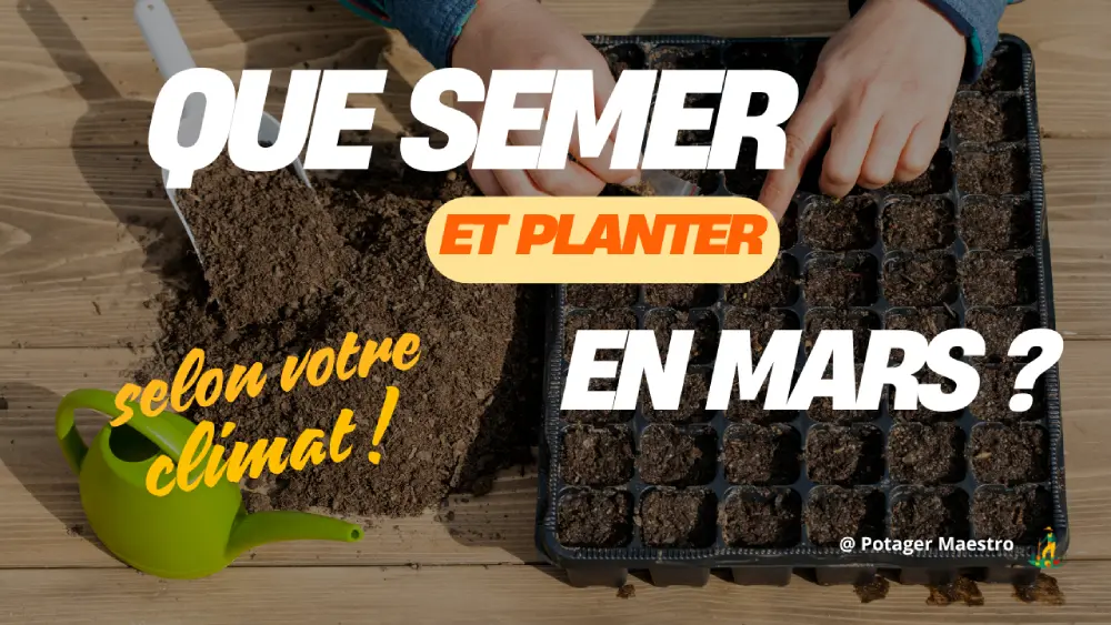 Mains remplissant une plaque de semis avec terreau en mars avec le texte 'Que semer et planter selon votre climat ?