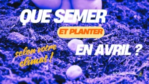 Guide jardinier 'Que semer et planter en avril selon votre climat' avec des graines dans le sol