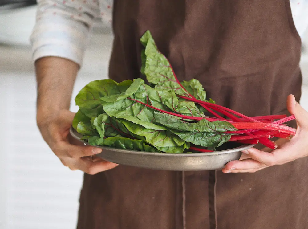 Personne en tablier marron tenant des blettes fraîches avec tiges rouges vives et feuilles vertes sur une assiette métallique