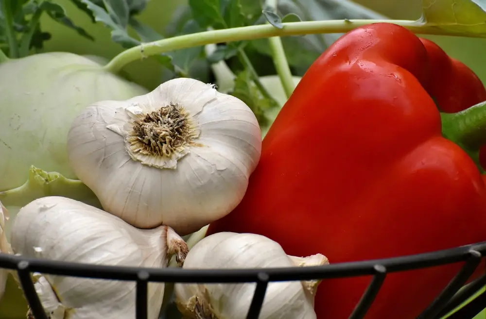Têtes d'ail frais avec poivrons rouges dans panier en fil métallique