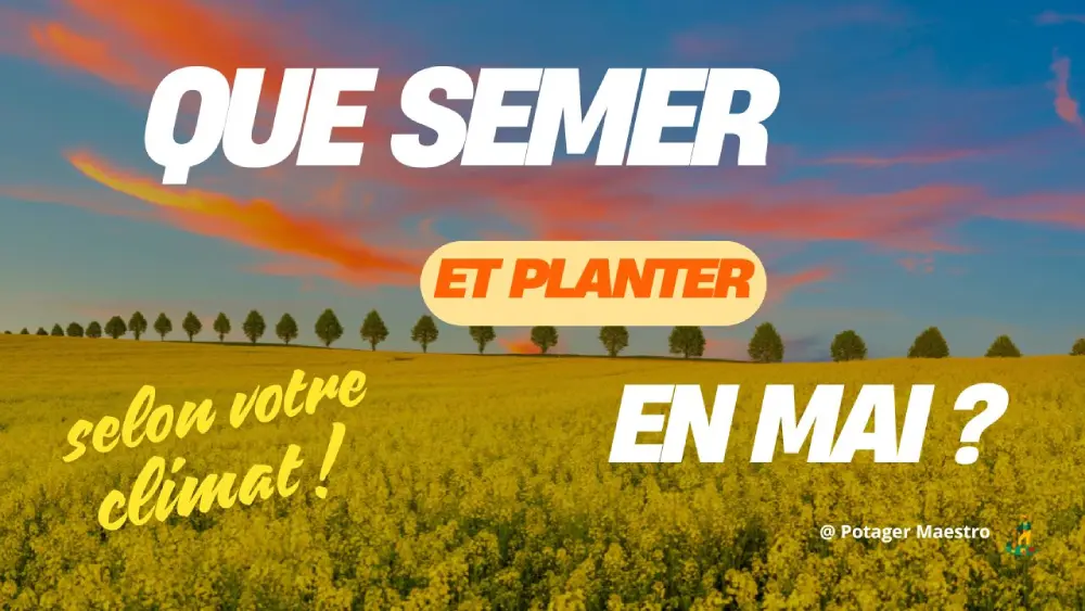 Que semer et planter en mai selon votre climat - Guide potager saisonnier avec champ fleuri - Potager Maestro