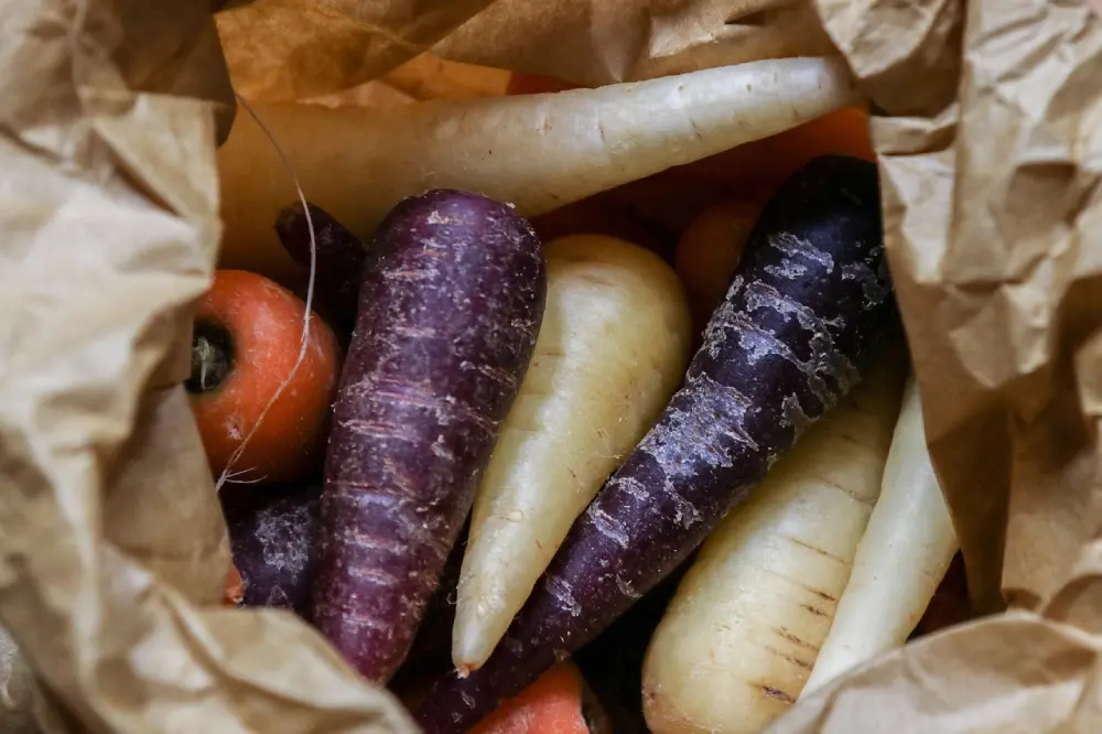 Carottes anciennes multicolores : variétés pourpres, blanches et orange riches en antioxydants et nutriments