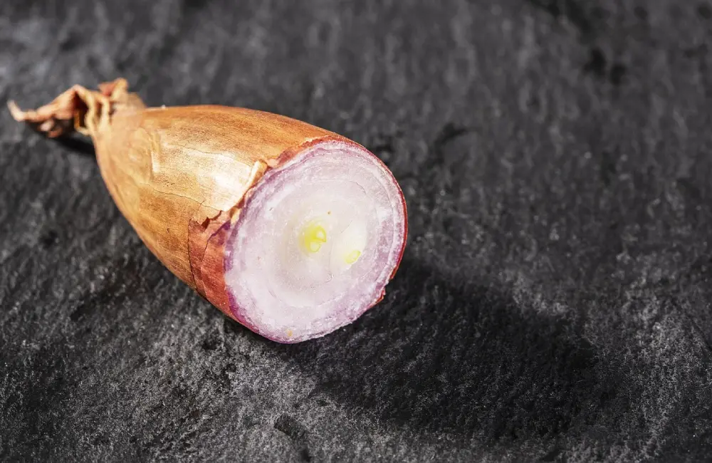Échalote tranchée et coupée en deux montrant son bulbe violet