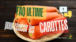 FAQ culture des carottes : conseils pratiques pour semer et récolter vos carottes
