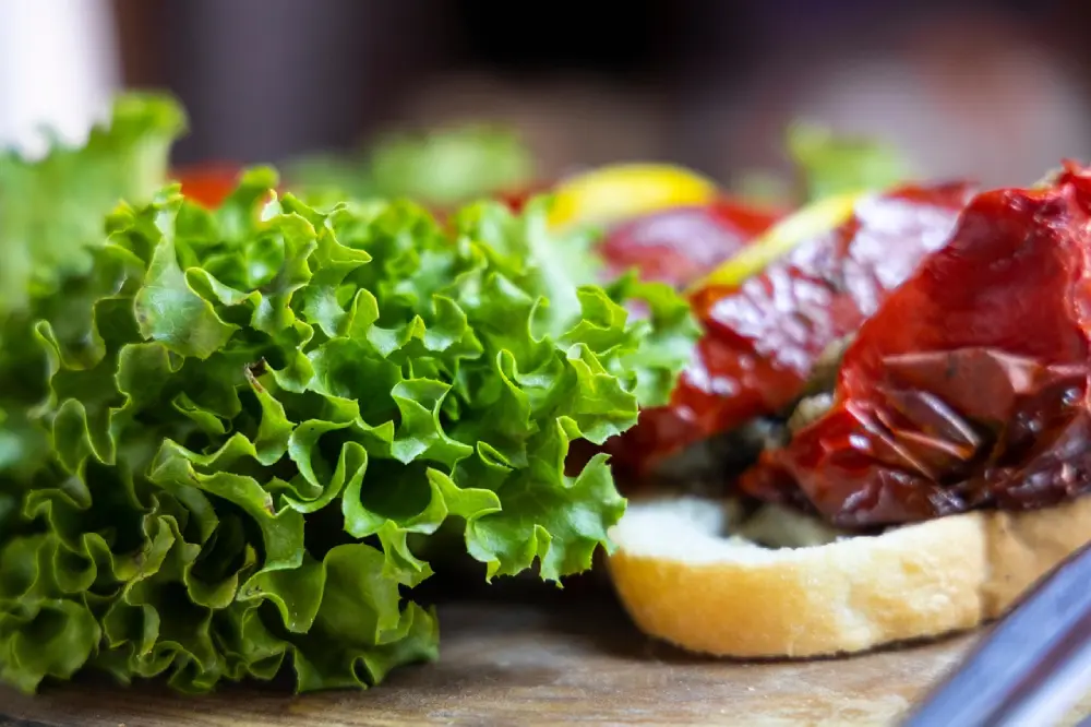 Laitue frisée verte fraîche - variété à couper idéale pour sandwich et salade croquante maison