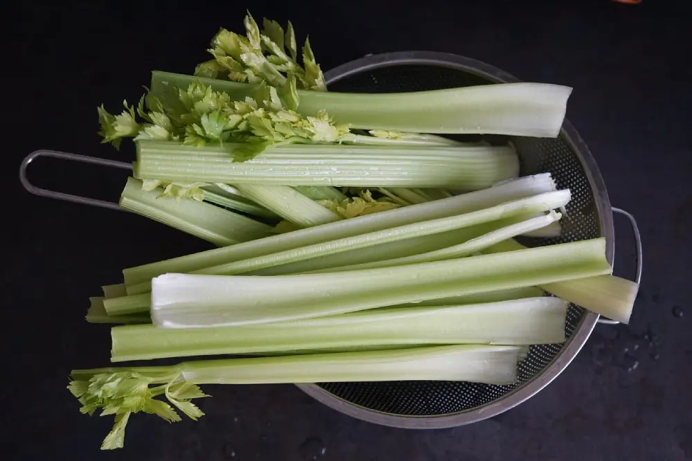 Céleri branche lavé passoire métal tiges blanches vertes légume potager