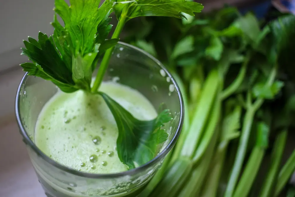 Jus céleri branche vert verre boisson santé légume frais nutritif