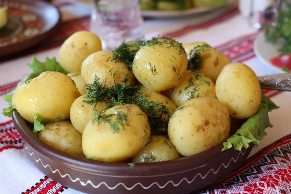 Pommes de terre nouvelles cuites aneth herbes fraîches