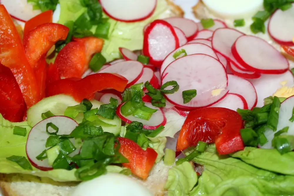 Salade colorée radis rouge émincé légumes frais - Cuisine saine légumes potager croquants