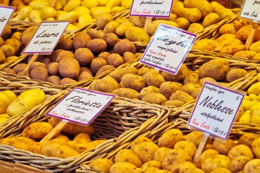Variétés pommes de terre marché diverses variétés