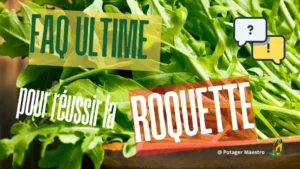FAQ ultime culture roquette - guide jardinage potager - conseils semis récolte roquette maison