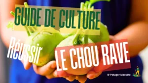 Guide culture chou-rave plantation réussir potager légume mains jardinage