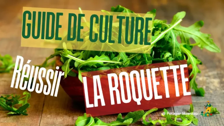 Guide culture roquette - bol salade roquette fraîche - jardinage bio potager débutant