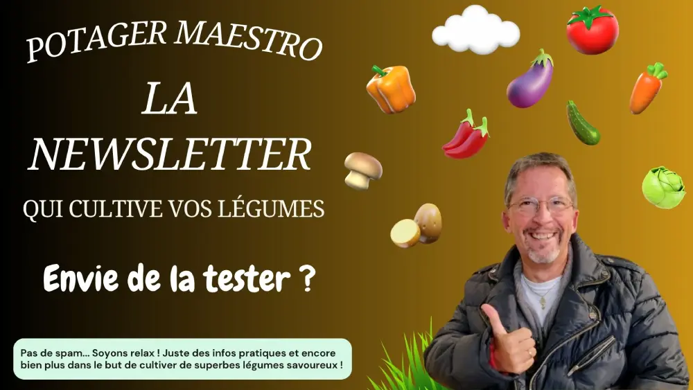 La newsletter du jardinage avec potager maestro