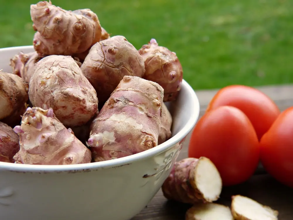 Tubercules topinambour frais dans bol blanc avec tomates - légumes potager bio