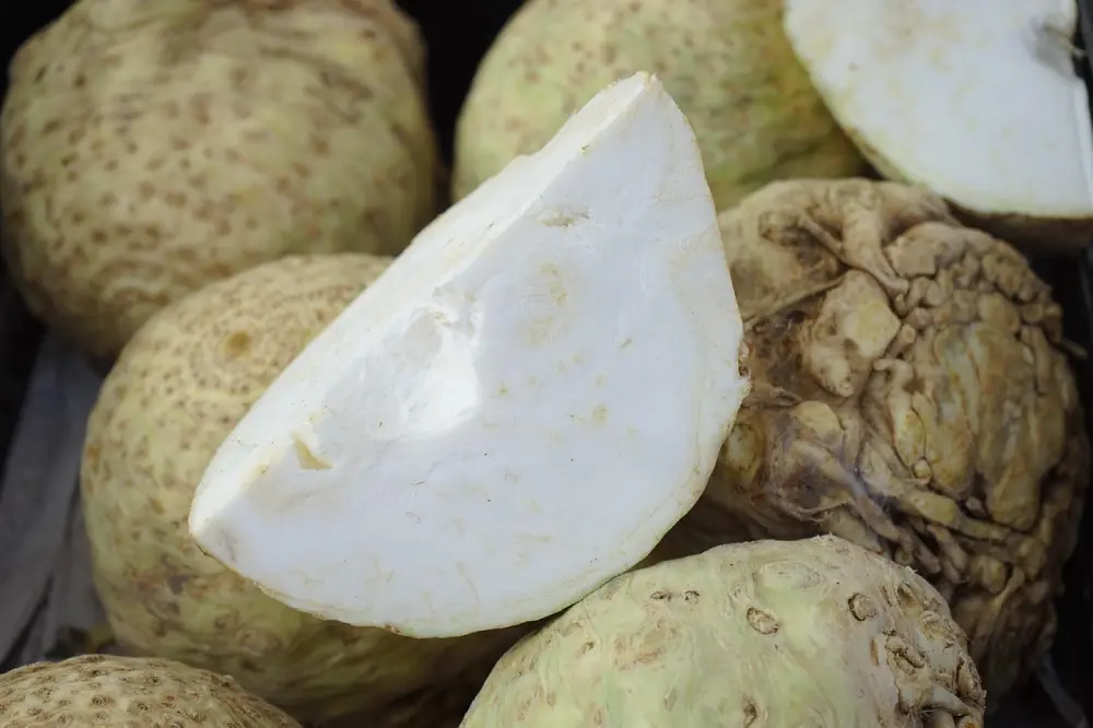 Céleris-raves coupés montrant chair blanche - légume d'hiver prêt à cuisiner