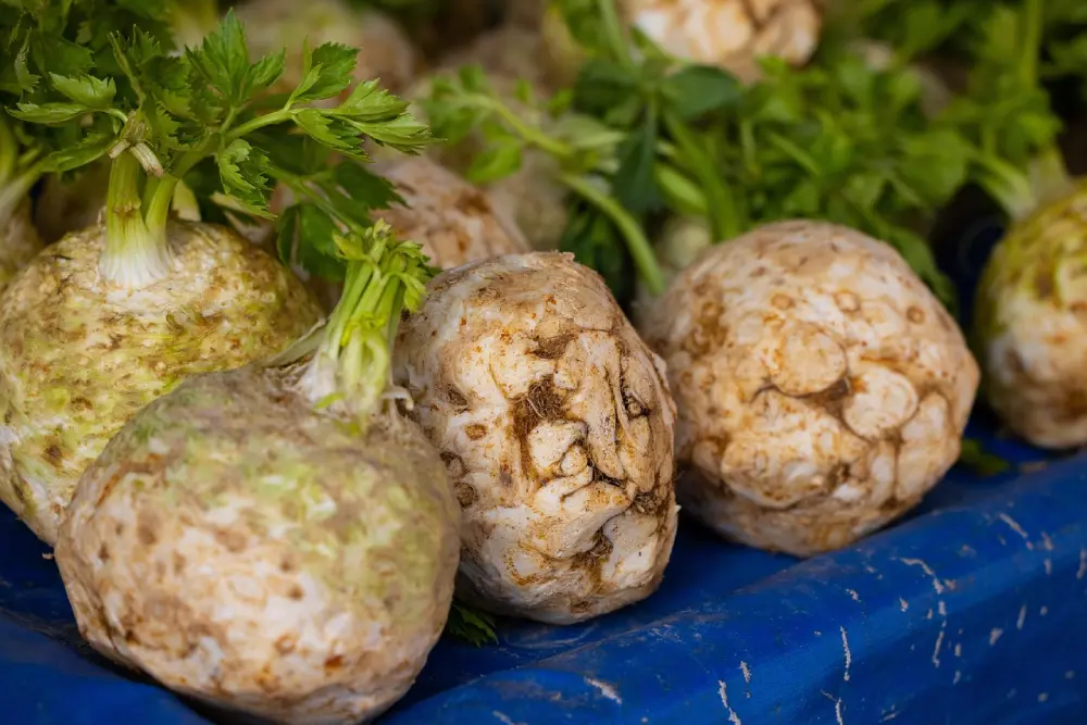 Céleris-raves frais au marché avec feuillage vert - légumes racines prêts pour la vente
