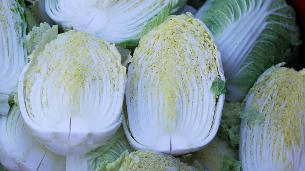 Chou chinois pé-tsaï coupé montrant nervures blanches et feuilles vertes structure interne