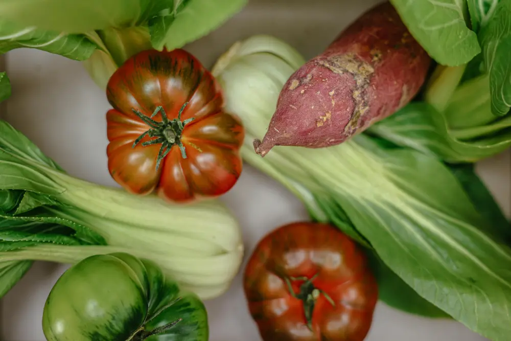 Légumes du potager avec pak-choï, tomates anciennes et patate douce pour cuisine saine