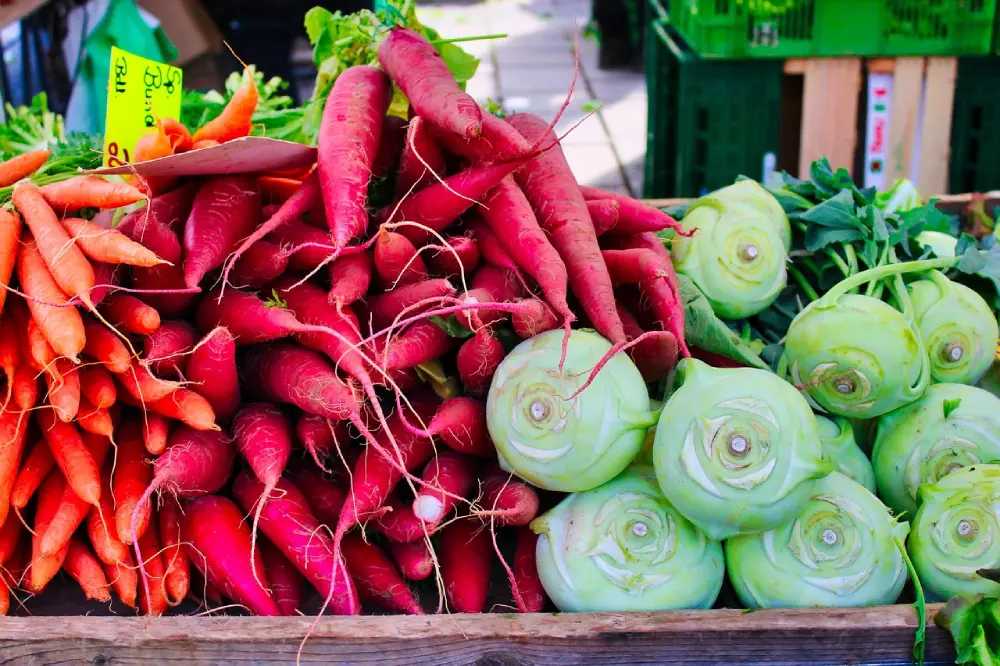 Choux-raves verts marché légumes carottes radis roses frais plantation récolte