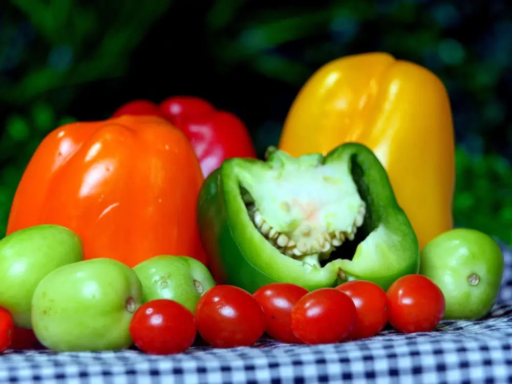Composition poivrons colorés tomates - Légumes frais jardin potager