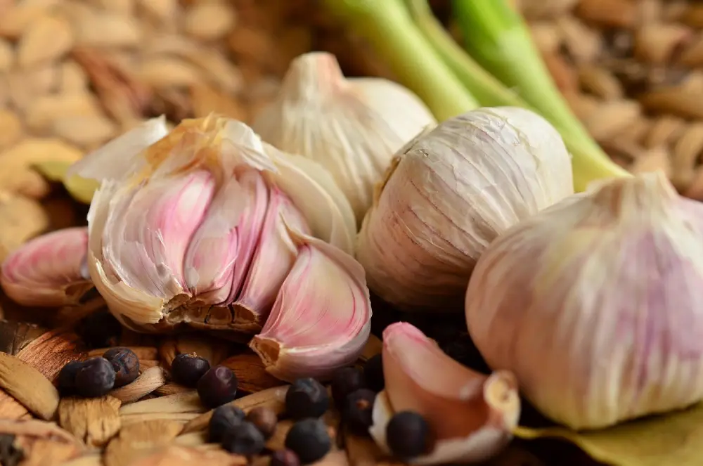 Gousses ail rose coupées avec épices - récolte conservation ail cultivé maison - aromate naturel