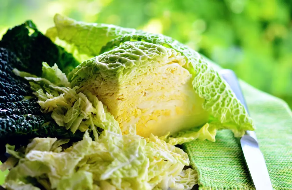 Chou de Milan coupé en deux - Cœur tendre pomme légume frisé