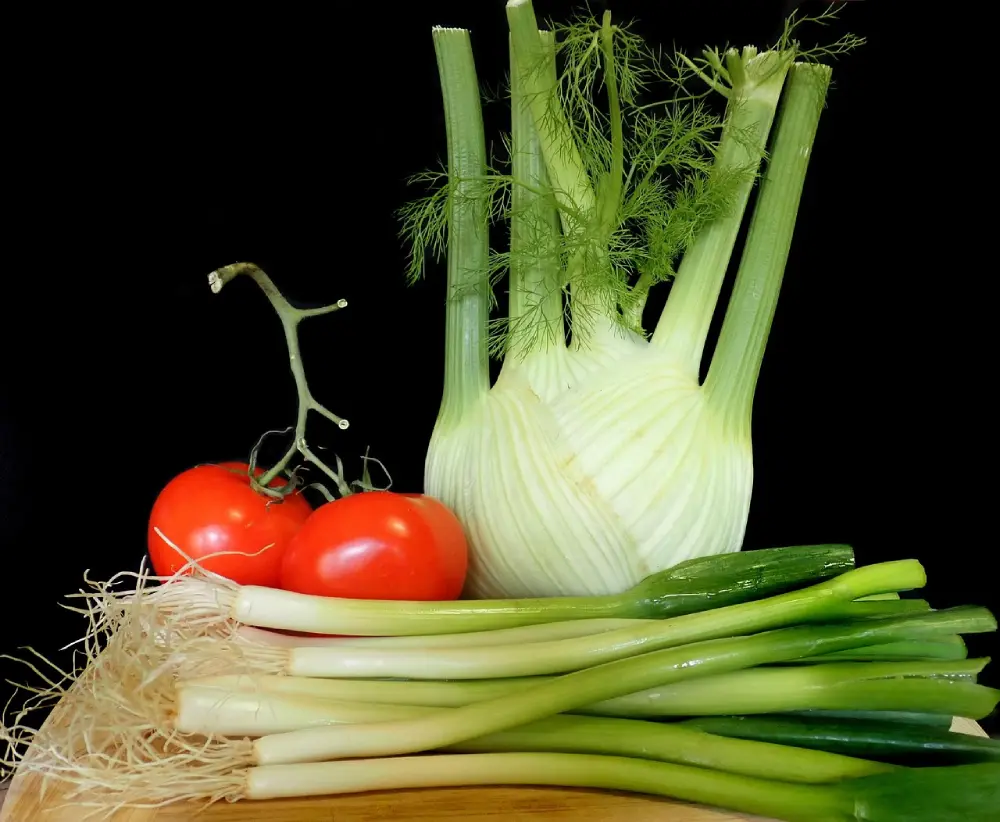 Fenouil frais légumes tomates composition culinaire - ingrédients cuisine saine