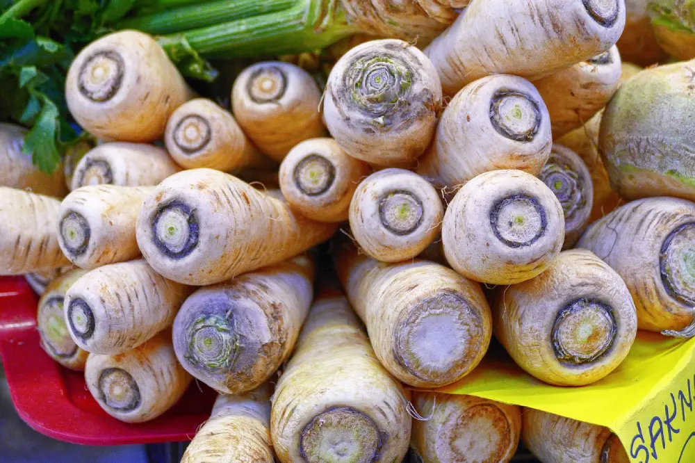 Panier panais marché légumes racines bio vente directe producteur local légumes frais