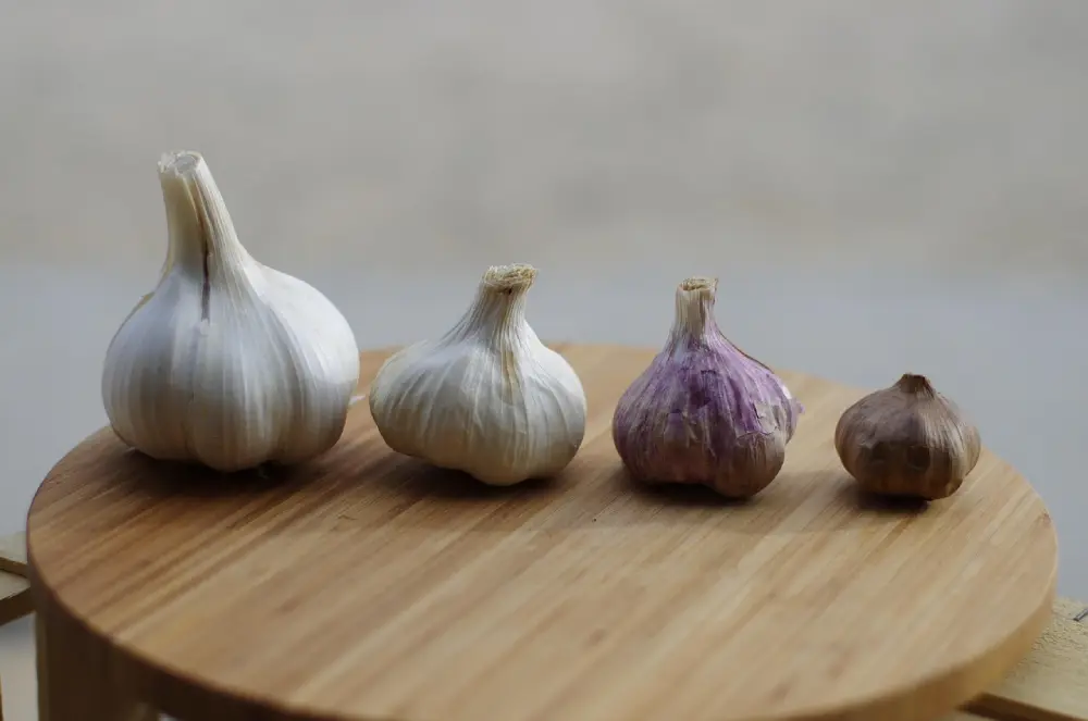 Variétés ail violet blanc rose tailles différentes planche ronde bois