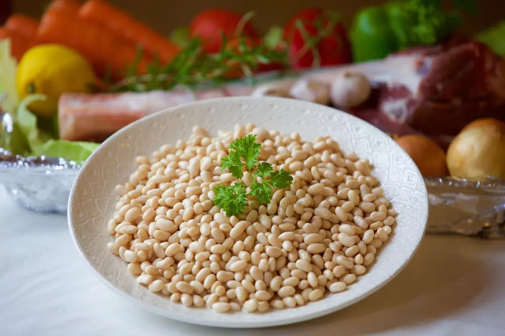Haricots blancs secs cuits dans une assiette avec persil frais - légumineuses nutritives pour cuisine saine