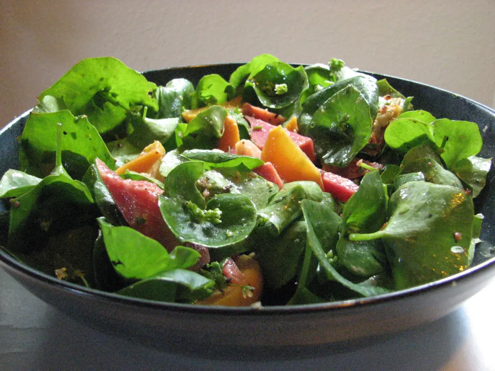 Salade claytone de Cuba légumes colorés - recette pourpier hiver feuilles charnues nutrition vitamines