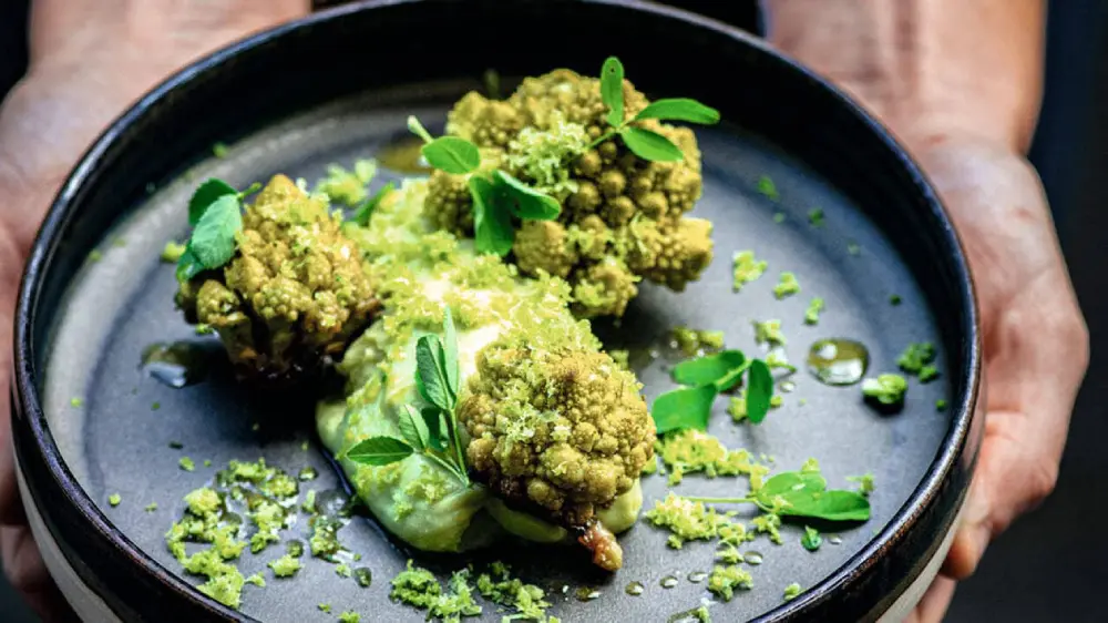 Plat gastronomique chou romanesco - cuisine raffinée légume vert assiette noire présentation chef