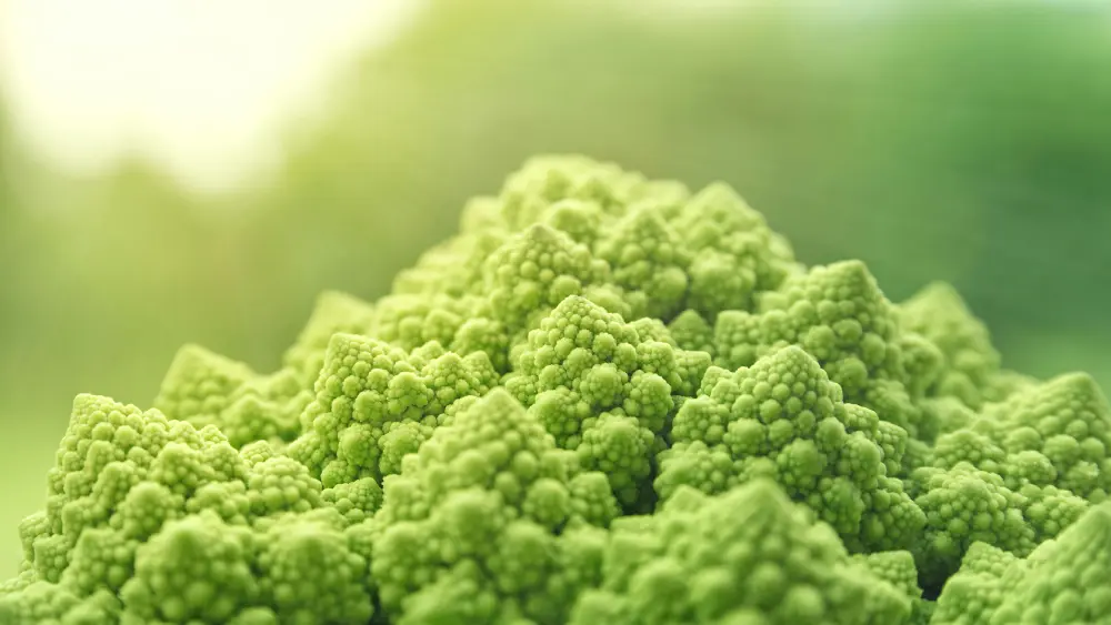 Chou romanesco gros plan détail spirales - légume décoratif géométrie parfaite nature fractale verte