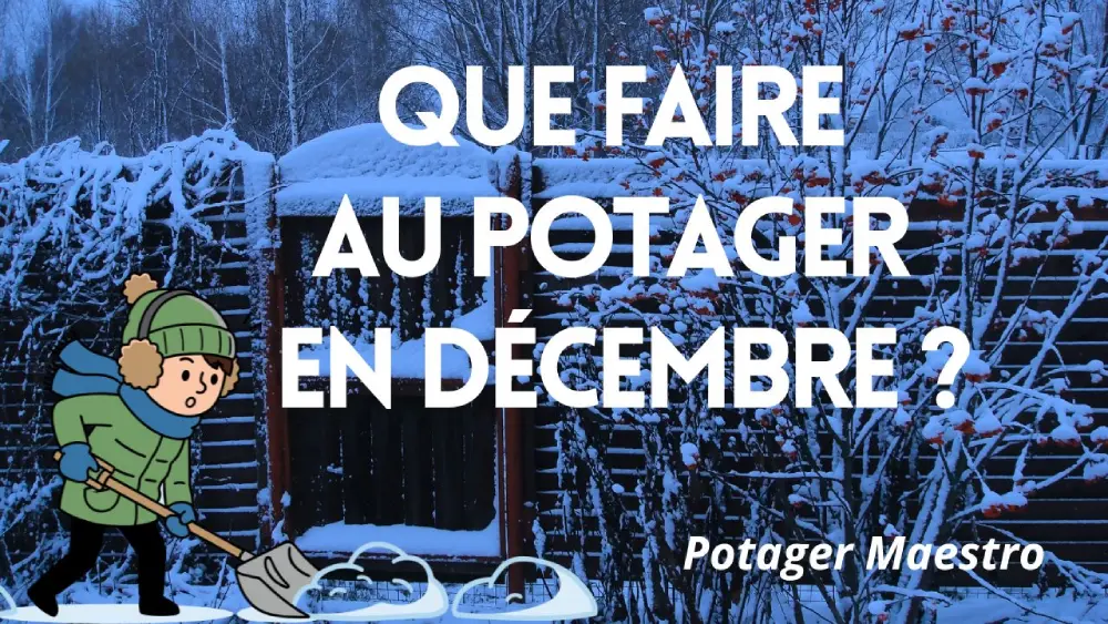 Que faire au potager en décembre ?