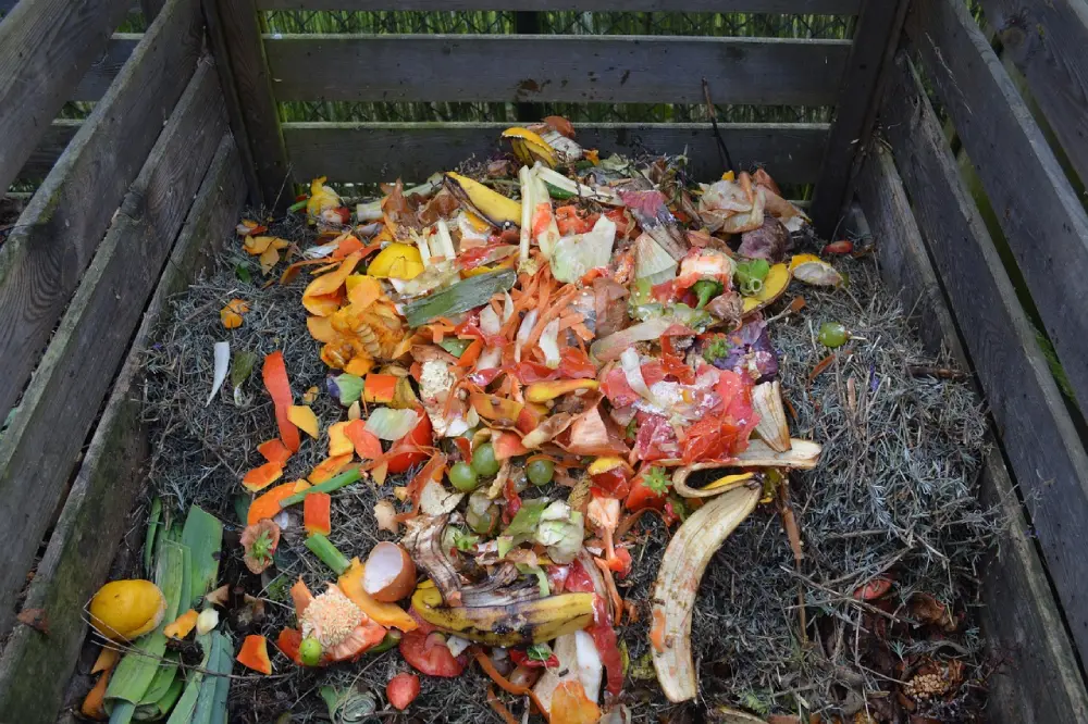 Composteur en bois avec déchets de cuisine frais - épluchures de légumes et matières organiques