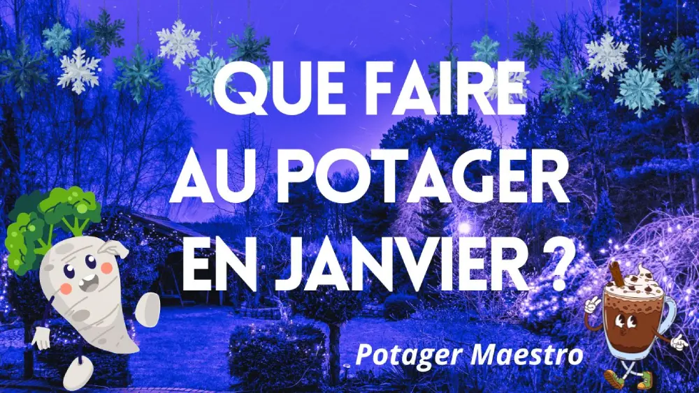 Que faire au potager en janvier ?