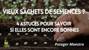 Vignette Potager Maestro : main semant des graines avec texte 4 astuces pour tester vos vieilles semences potagères