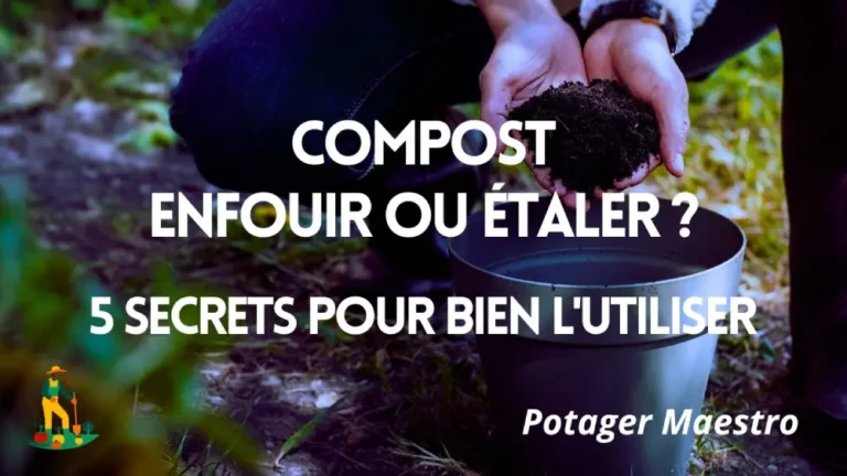Compost enfouir ou étaler - 5 secrets pour bien utiliser le compost au jardin - Potager Maestro