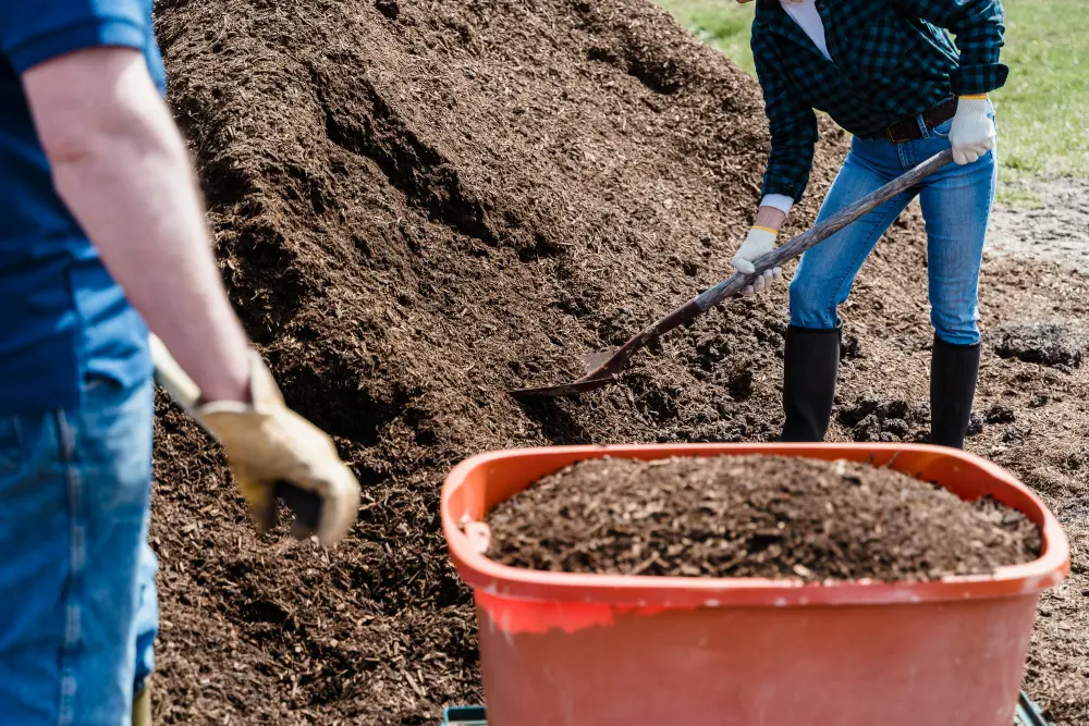 Tas de compost mûr avec jardiniers qui récoltent la matière organique à la pelle