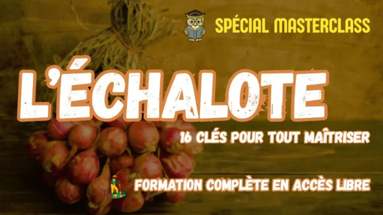 Masterclass échalote Potager Maestro : 16 clés pour tout maîtriser, formation gratuite en accès libre