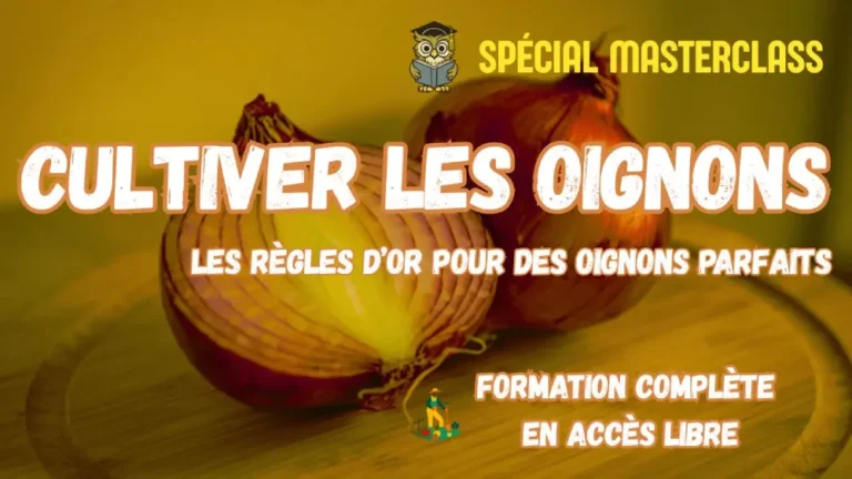 Masterclass oignons Potager Maestro : règles d'or pour tout maîtriser, formation gratuite en accès libre