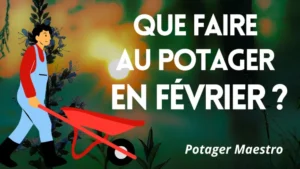 Que faire au potager en février : travaux et plantations du mois - Potager Maestro