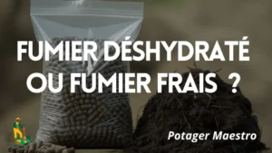 Comparaison fumier déshydraté en granulés et fumier frais pour potager