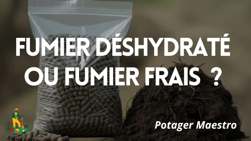 Comparaison fumier déshydraté en granulés et fumier frais pour potager