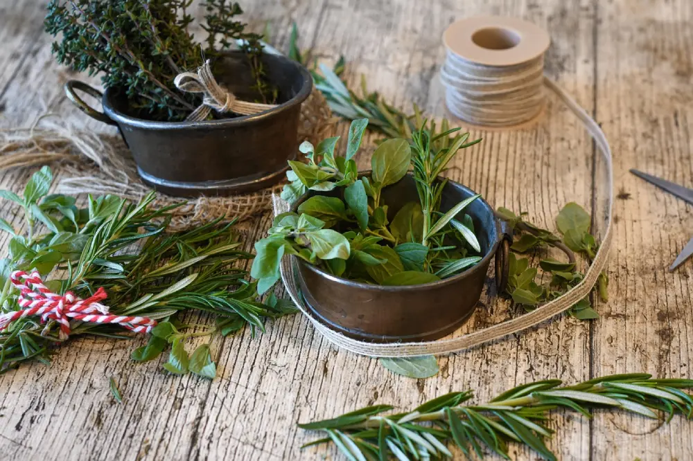 Herbes aromatiques fraîches dans des cocotes rustiques en métal sur table en bois : basilic, romarin